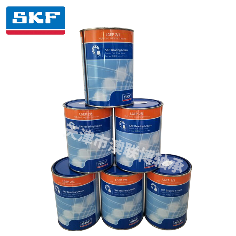 SKF LGEP 2